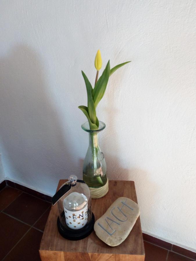 Apartament Letteratelier Driesprong Oedelem Zewnętrze zdjęcie